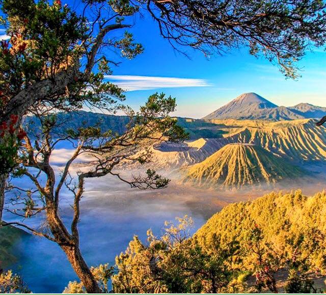 Monte Bromo - Vulcano - Java 