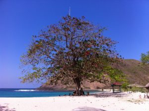 Indonesia - Lombok - 