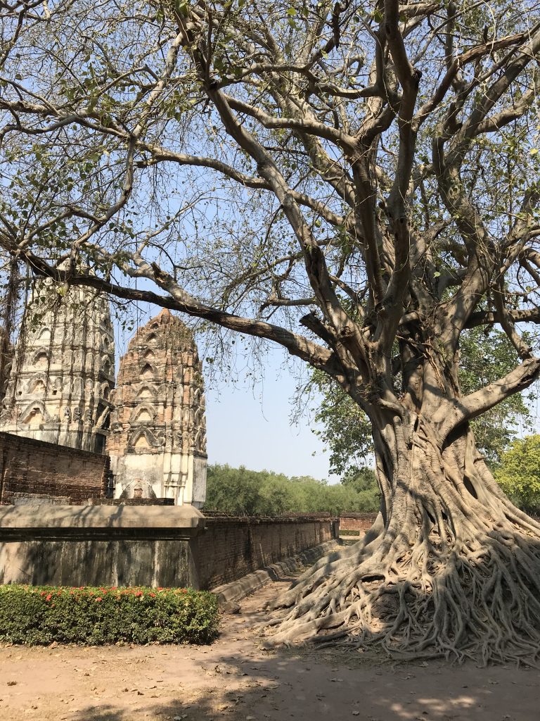 Thailandia - Sukhothai- UNESCO