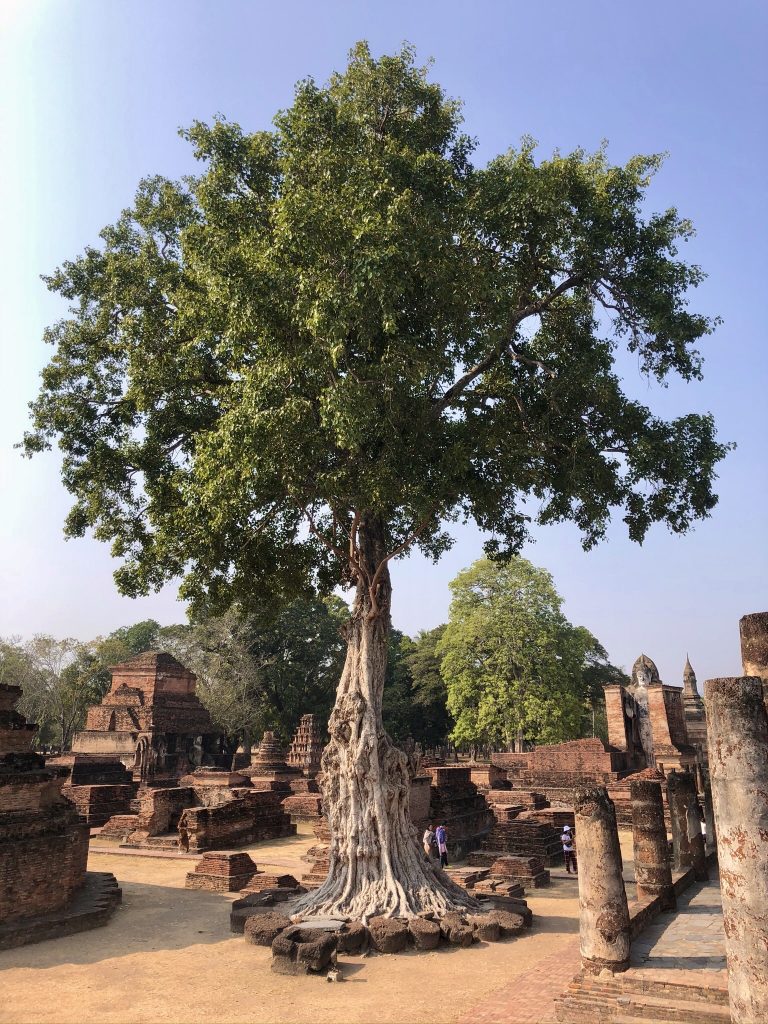 Thailandia - Sukhothai- UNESCO