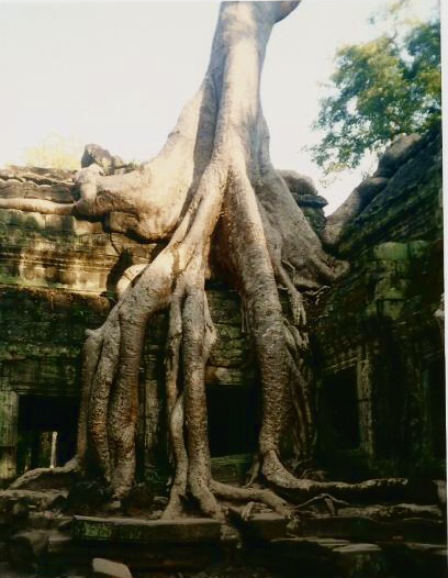 Cambogia - Angkor Wat