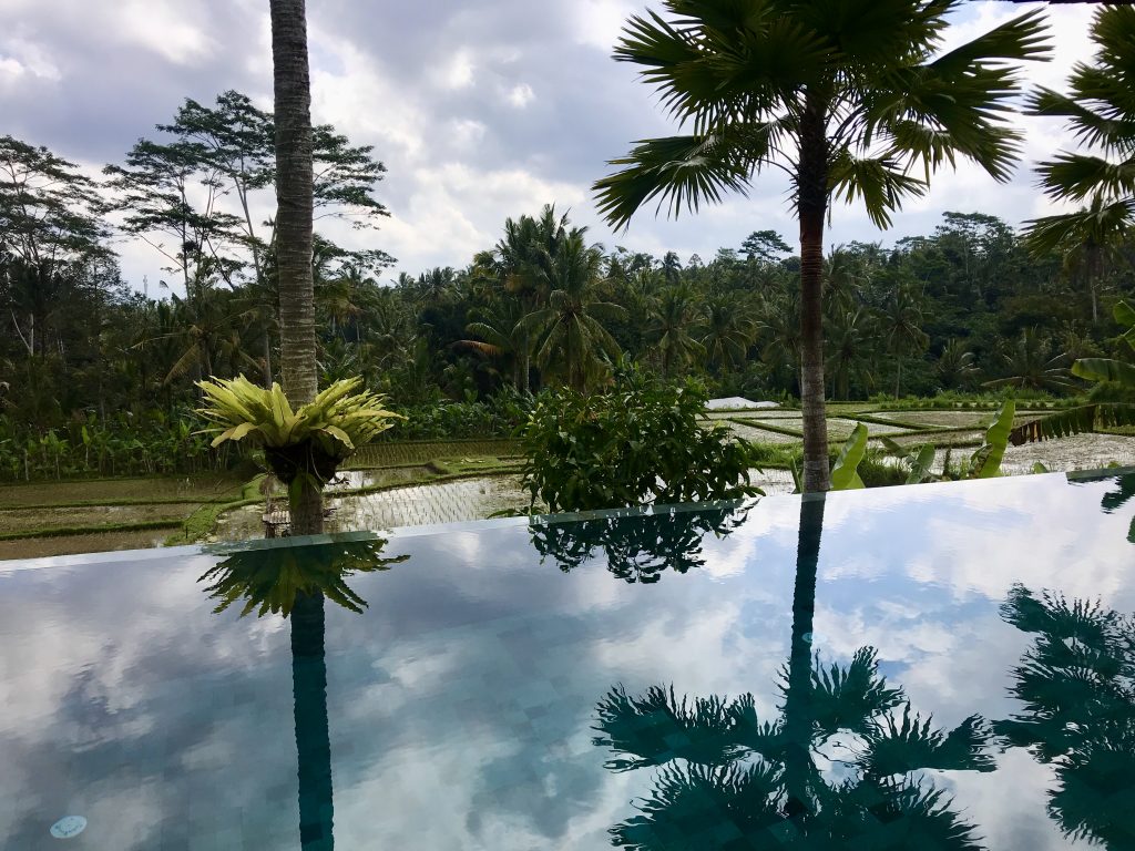 Bali - Ubud