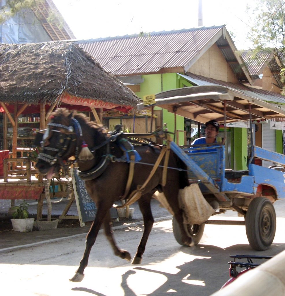 indonesia- isole gili - cidomo