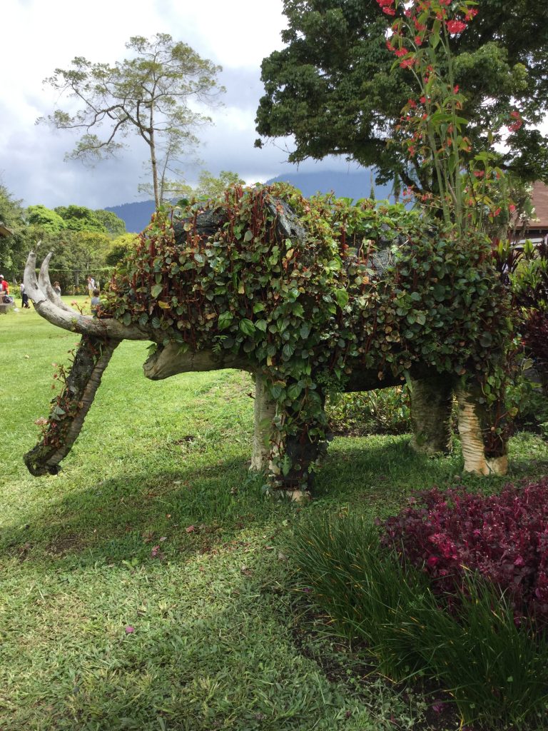 Bali - Bedugul Botanical Gardens