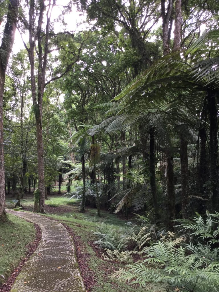 bali - bedugul - Botanical Gardens